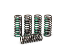 Load image into Gallery viewer, Clutch Springs