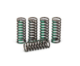 Pro Circuit Clutch Springs 793-6031