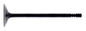 Intake Valve Steel Pol