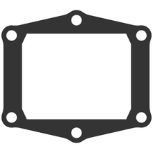 Load image into Gallery viewer, Vforce3 Gasket