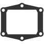Vforce3 Gasket