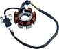150 250cc 8 Coil Magneto/Stato 4 Stroke Water/Air Cooled