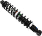 Gas Shock Rear