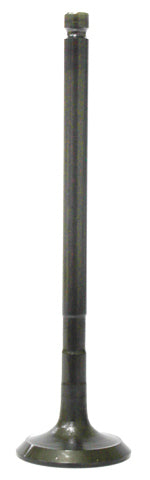 Exhaust Valve