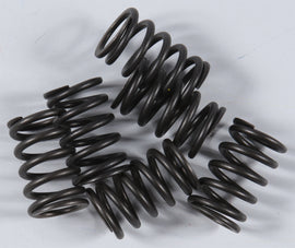 High Performance Spring Set