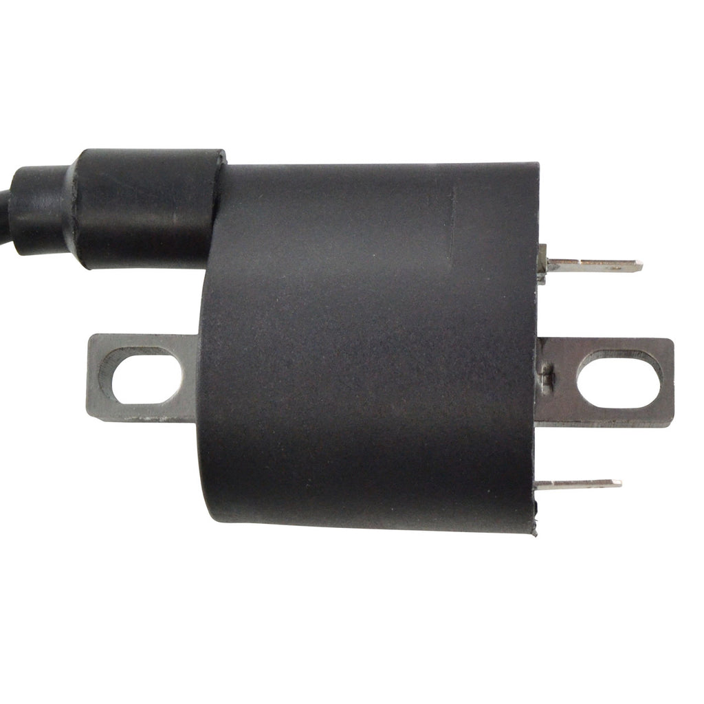 External Ignition Coil W/Spark Plug Cap
