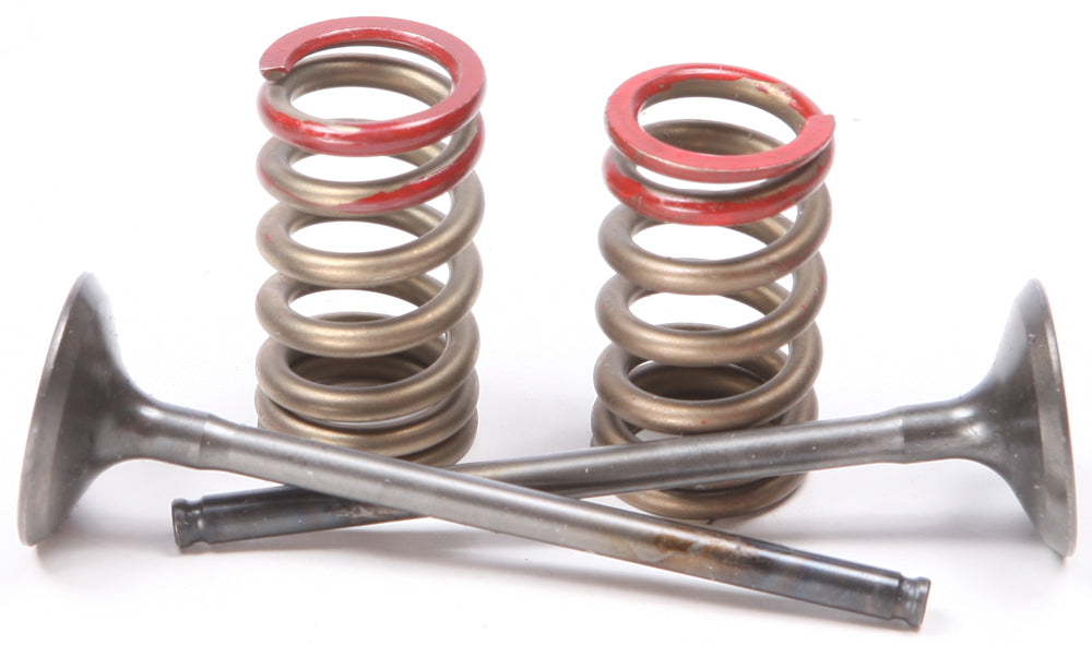 Exhaust Valve Conversion Set Ti Steel Kaw/Suz
