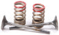Exhaust Valve Conversion Set Ti Steel Kaw/Suz