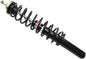 Gas Shock Front