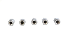 Load image into Gallery viewer, Chrome Acorn Nut Fine 1/4 inch-28 Thread