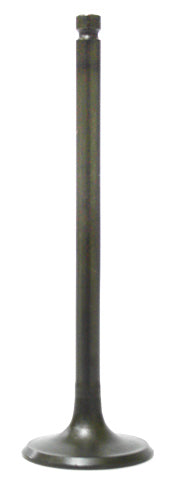Intake Valve