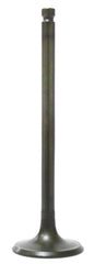 Intake Valve