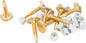 Gold Digger Carbide Studs 1.45