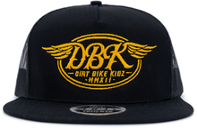 Load image into Gallery viewer, Goldwings 2fifty Snapback Hat Black