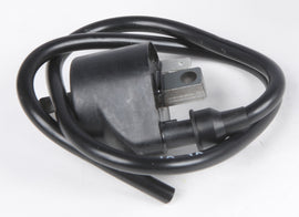 Atv Ignition Coil