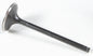 Black Diamond Intake Valve