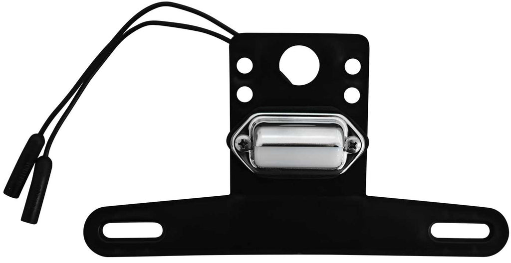 License Plate Mount