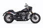 Amendment Slash Black M8 Softail