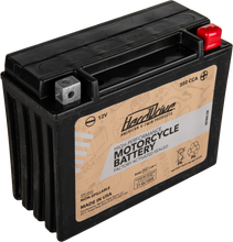 Load image into Gallery viewer, High Perform Battery Ytx24hl Cca 350