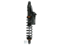Left Ski Shock Sd