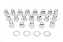 Load image into Gallery viewer, Acorn Rocker Box Nut Set