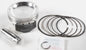 Piston Kit Armorglide 80.00/Std 10.2:1 Pol