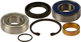All Balls Chain Case Bearing & Seal Kit 141-9004