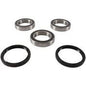 Rear Wheel Bearing Kit
