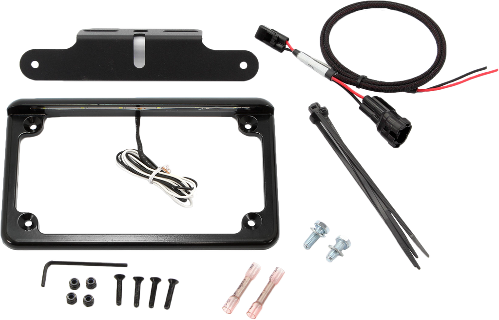 License Plate W/ Led