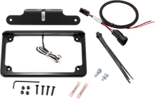 Load image into Gallery viewer, License Plate W/ Led