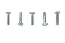 Load image into Gallery viewer, Hex Cap Bolts Zinc 1/4 inch-20 x 1 inch