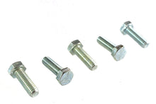 Load image into Gallery viewer, Hex Cap Bolts Zinc 5/16 inch X 1 inch