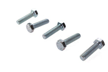Load image into Gallery viewer, Hex Cap Bolts Zinc 5/16 inch X 1-1/4 inch