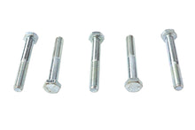 Load image into Gallery viewer, Hex Cap Bolts Zinc 5/16 inch X 2-1/4 inch