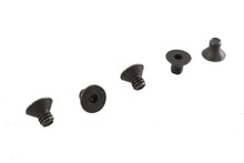 Load image into Gallery viewer, Allen Flat Head Screws Black 1/4 inch-20 x 3/8 inch