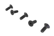 Load image into Gallery viewer, Allen Flat Head Screws Black 5/16 inch-18 x 5/8 inch