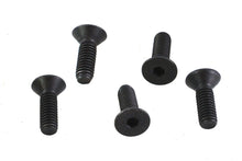 Load image into Gallery viewer, Allen Flat Head Screws Black 5/16 inch-18 x 1 inch