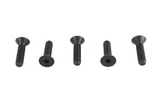 Load image into Gallery viewer, Allen Flat Head Screws Black 5/16 inch-18 x 1-1/4 inch