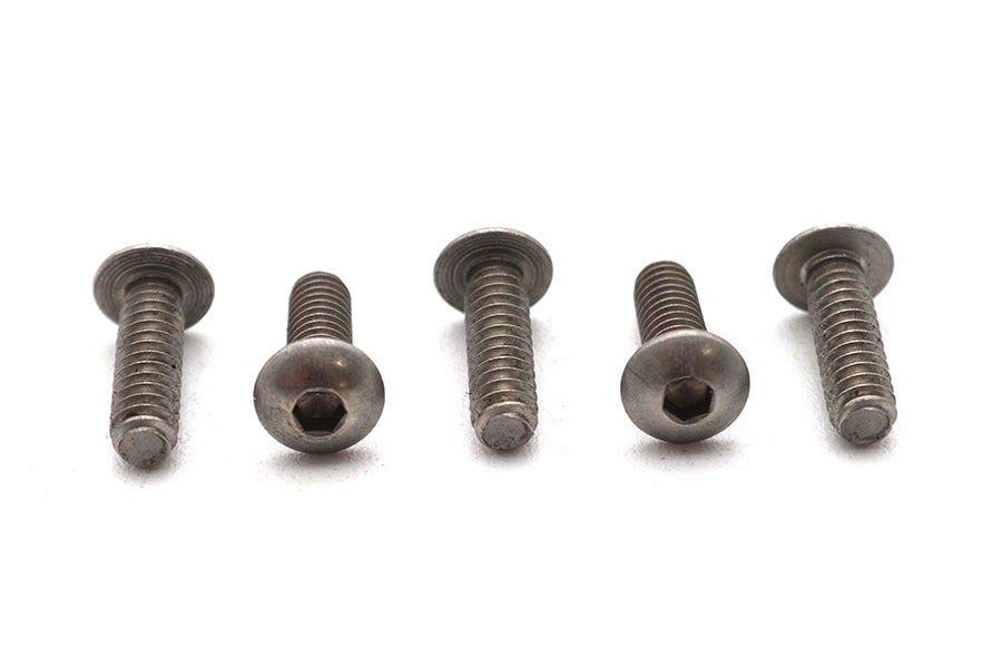 Allen Button Head Screws Stainless Steel 10-24 inch X 5/8 in