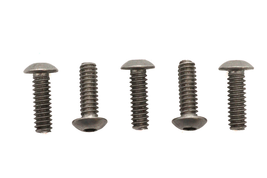 Allen Button Head Screws Stainless Steel 10-24 inch X 5/8 in