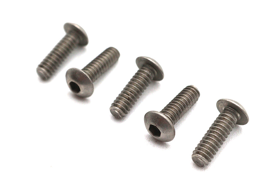Allen Button Head Screws Stainless Steel 10-24 inch X 5/8 in