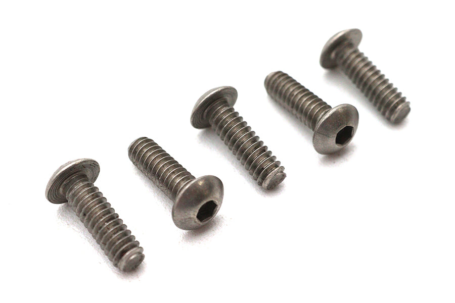 Allen Button Head Screws Stainless Steel 10-24 inch X 5/8 in