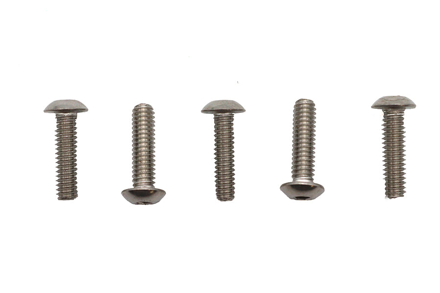 Allen Button Head Screws Stainless Steel 1/4-20 X 7/8 inch