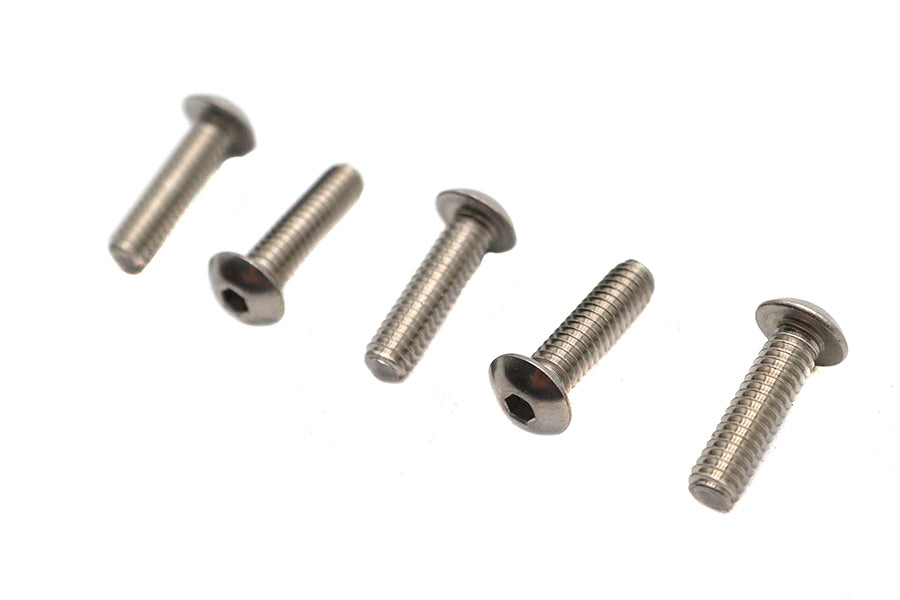 Allen Button Head Screws Stainless Steel 1/4-20 X 7/8 inch
