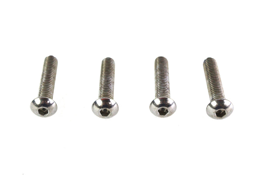 Allen Button Head Screws Stainless Steel 1/4-20 X 1 inch