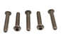 Allen Button Head Screws Stainless Steel 1/4-20 X 1-1/2 inch