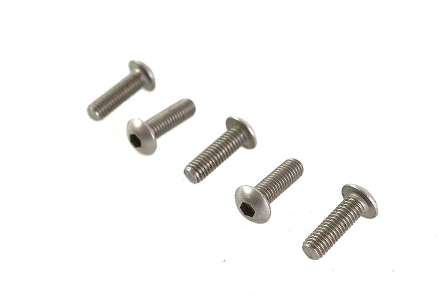 Allen Button Head Screws Stainless Steel 10-32 X 5/8 inch