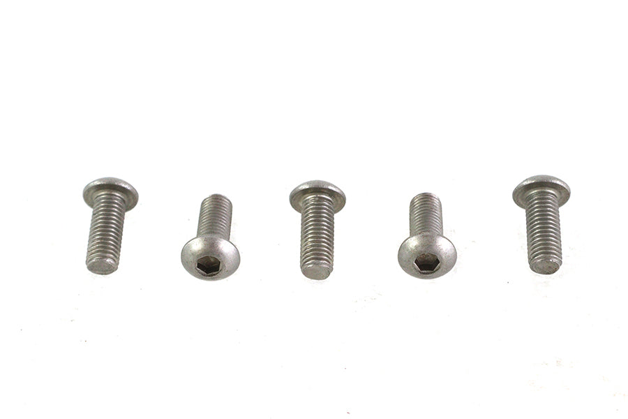 Allen Button Head Screws Stainless Steel 1/4 inch-28 X 5/8 i