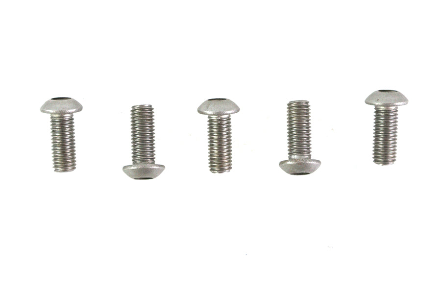 Allen Button Head Screws Stainless Steel 1/4 inch-28 X 5/8 i