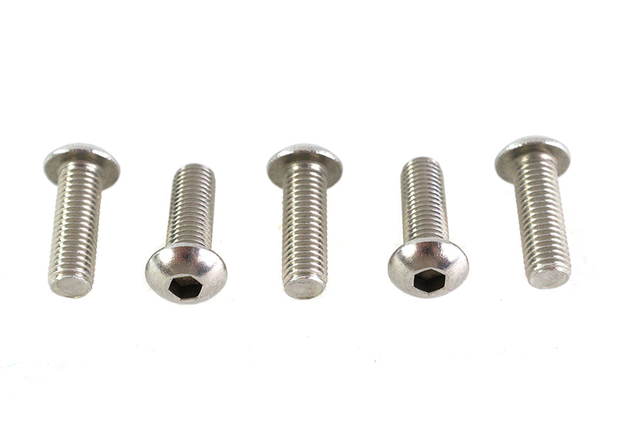 Allen Button Head Screws Stainless Steel 1/4-28 X 3/4 inch